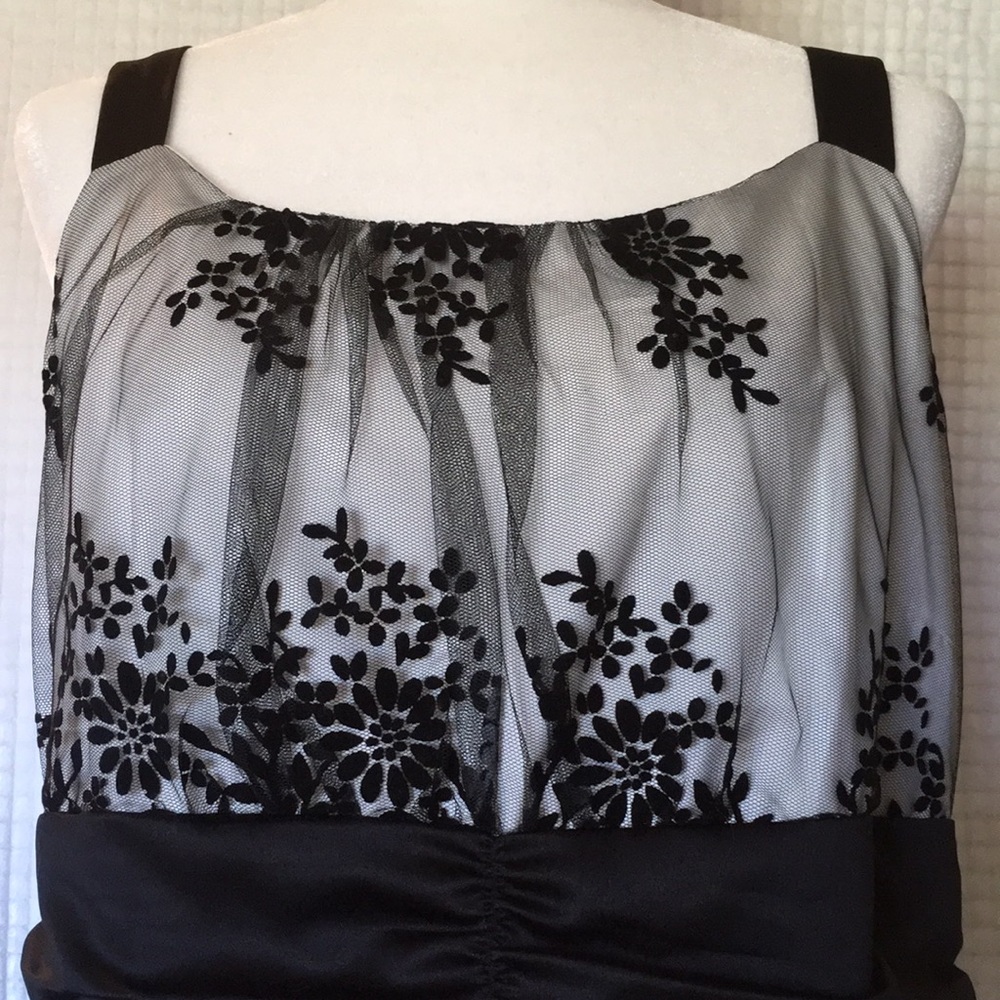 Beautiful Formal Plus-Sized Dress w/Velvet Overlay - Picture 3 of 5